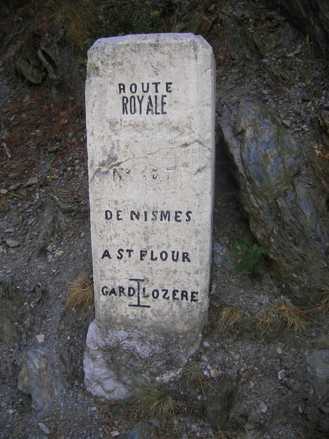 Paysage de crête de la Corniche des Cévennes au col Saint-Jean, landes et serres boisées du Parc national des Cévennes