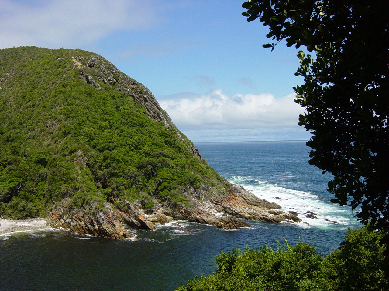 Forêt et côte du parc national de Tsitsikamma sur la Garden Route, Afrique du Sud