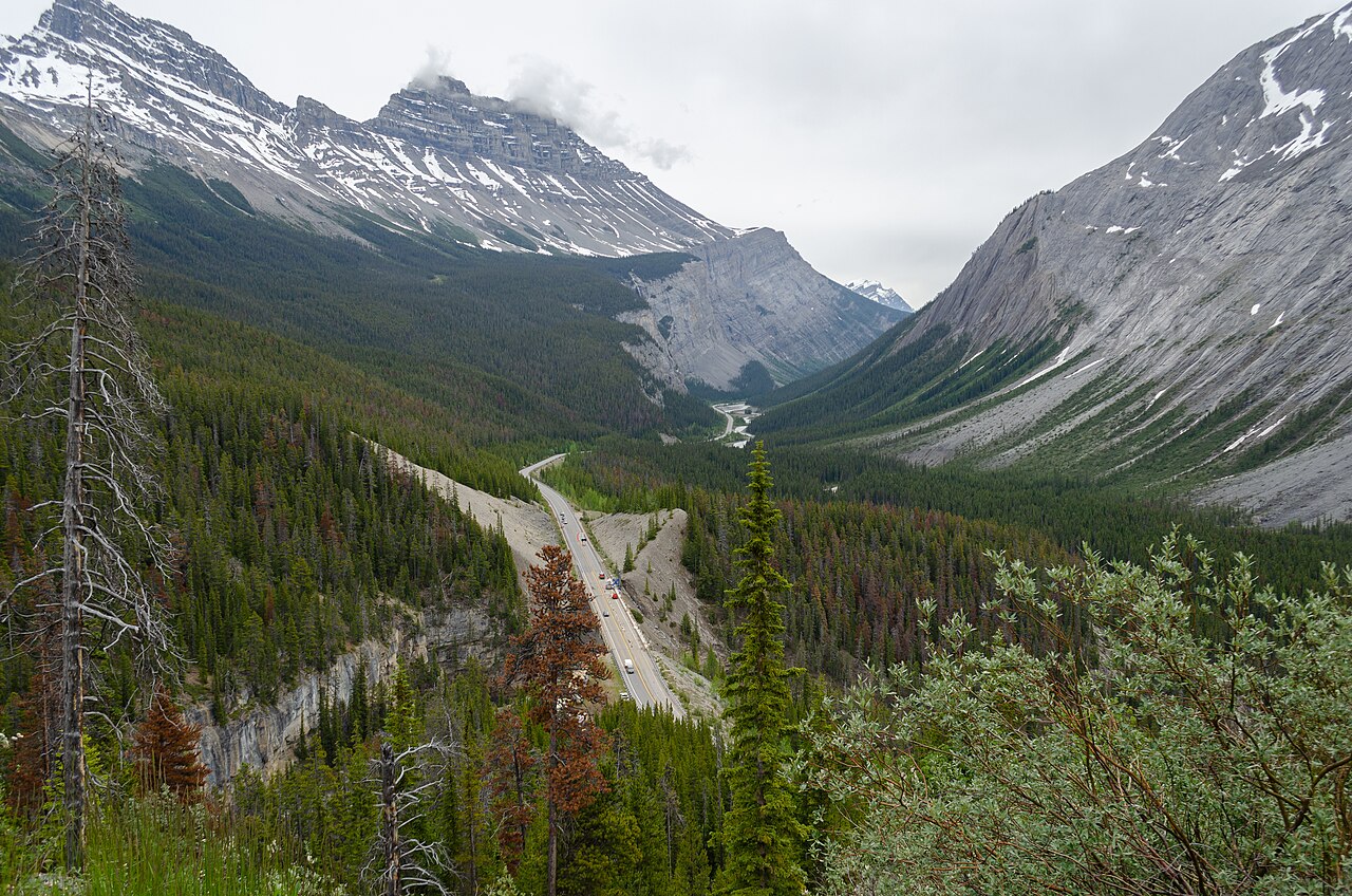 L'Icefields Parkway serpentant entre les montagnes vue depuis Parker Ridge, Rocheuses canadiennes