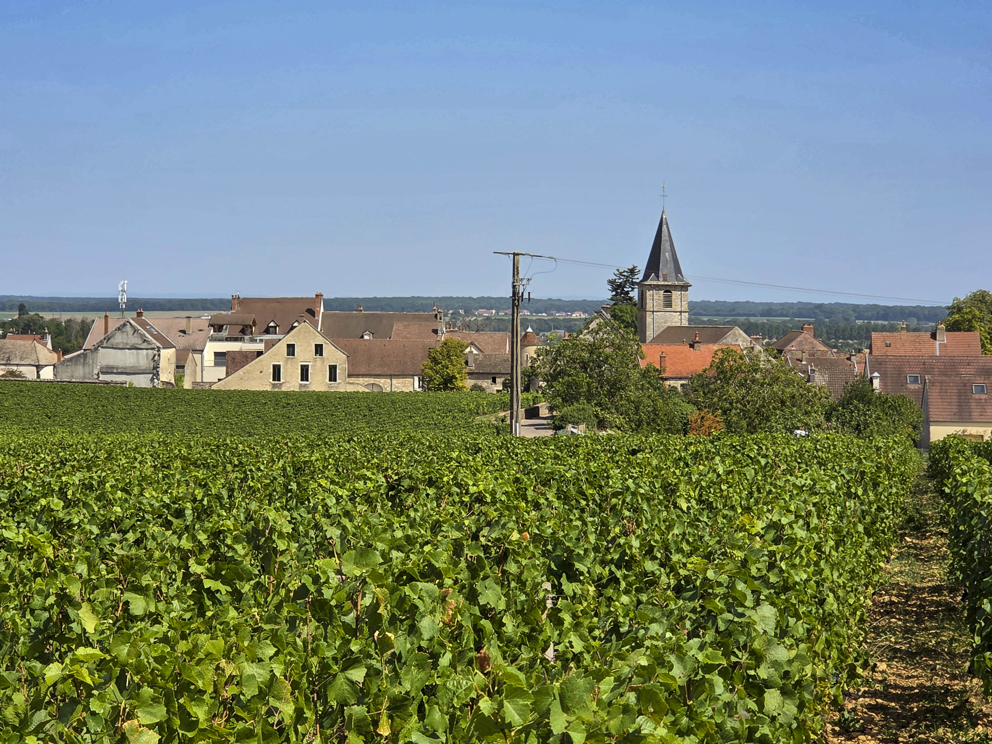 Le village de Vosne-Romanée et son vignoble de la Côte de Nuits, sur la Route des Grands Crus de Bourgogne