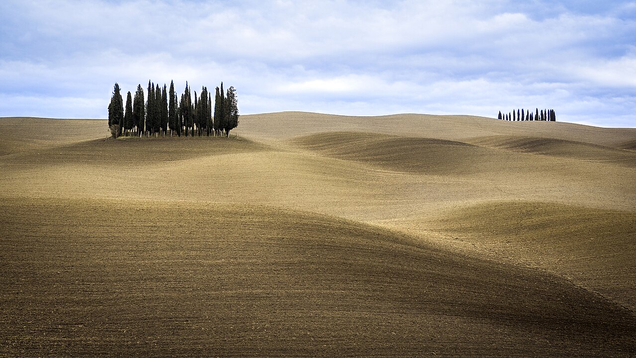 Collines du Val d'Orcia ourlées de cyprès au lever du soleil, paysage iconique de Toscane