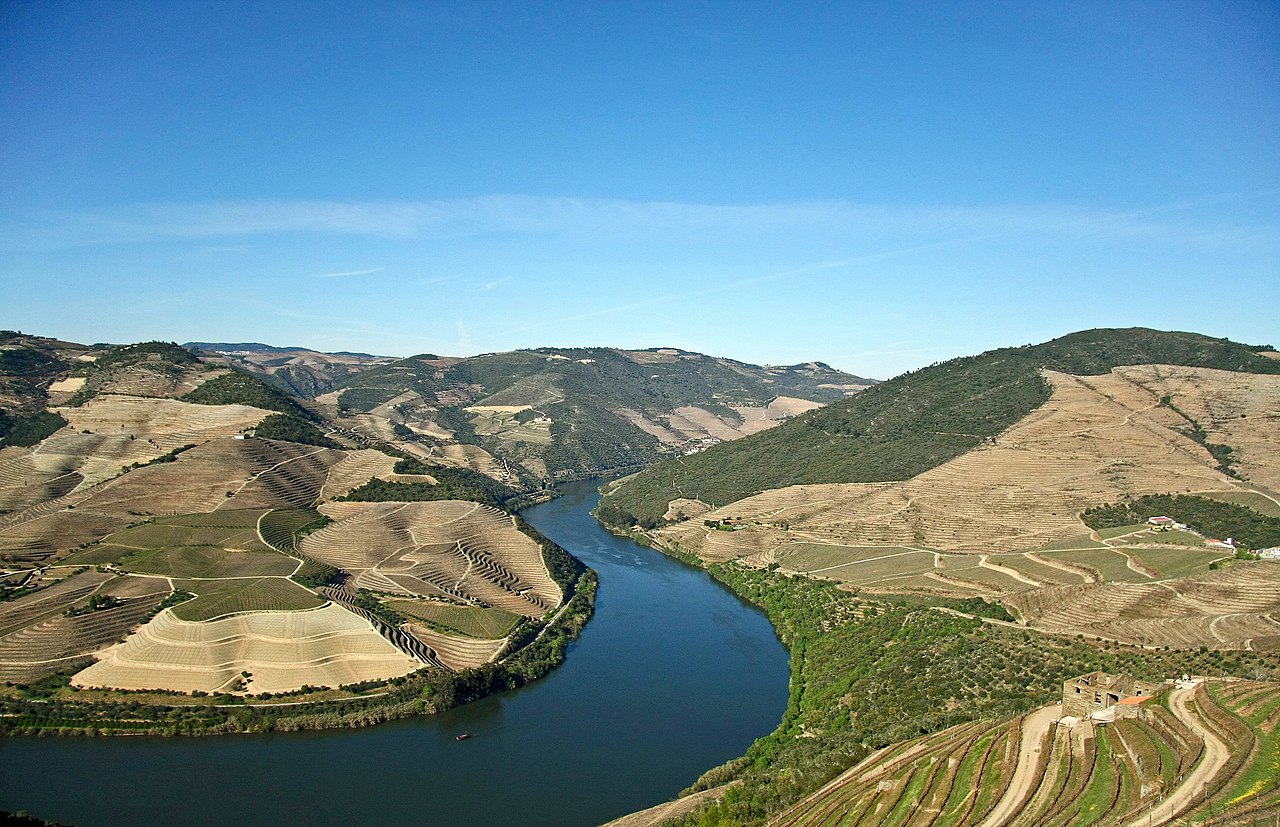 Vignobles en terrasses au-dessus du fleuve Douro, Portugal